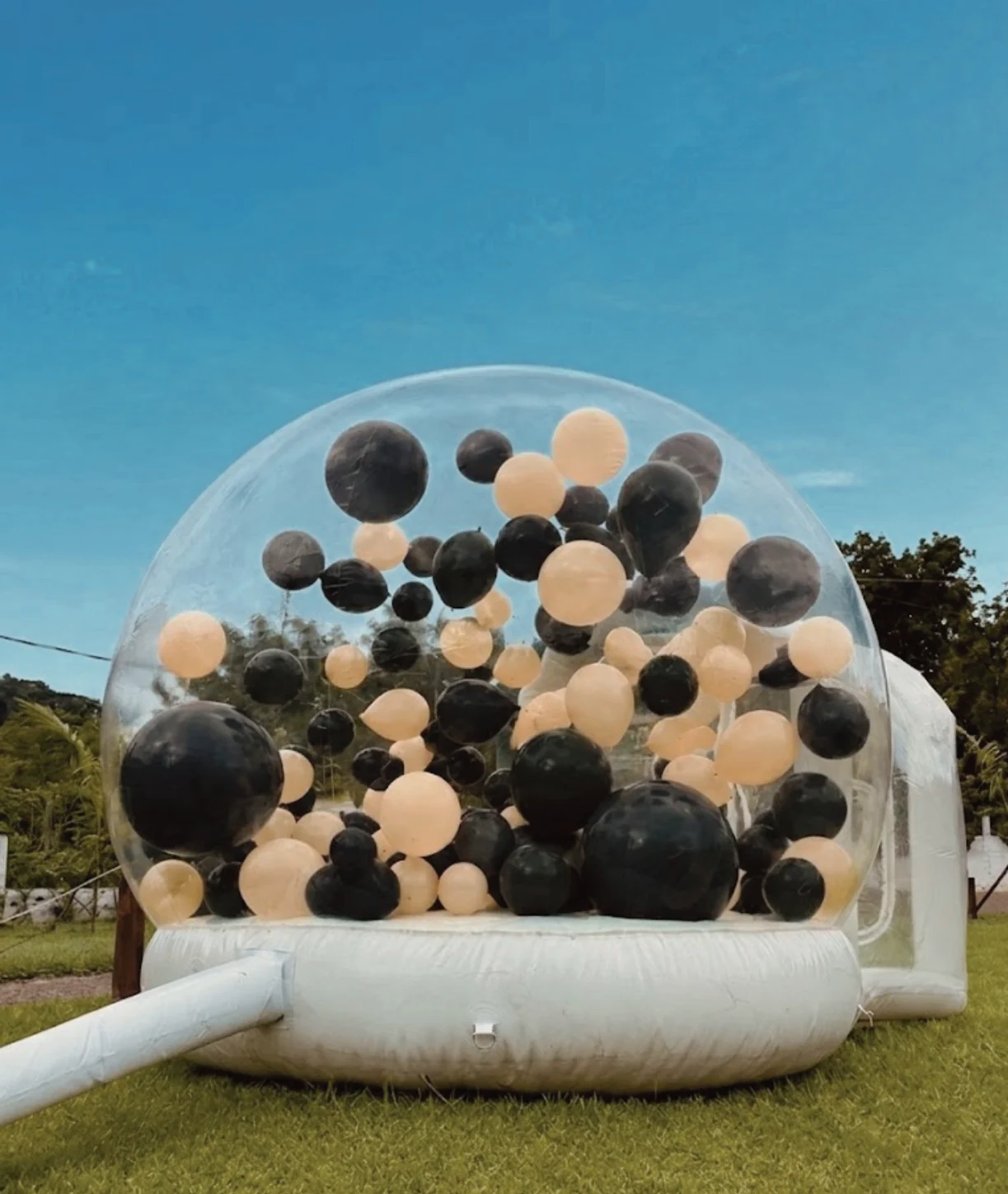 Bubble House transparente decorada com balões